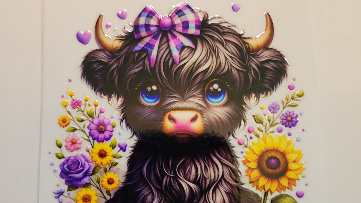 Highland Baby Black Cow