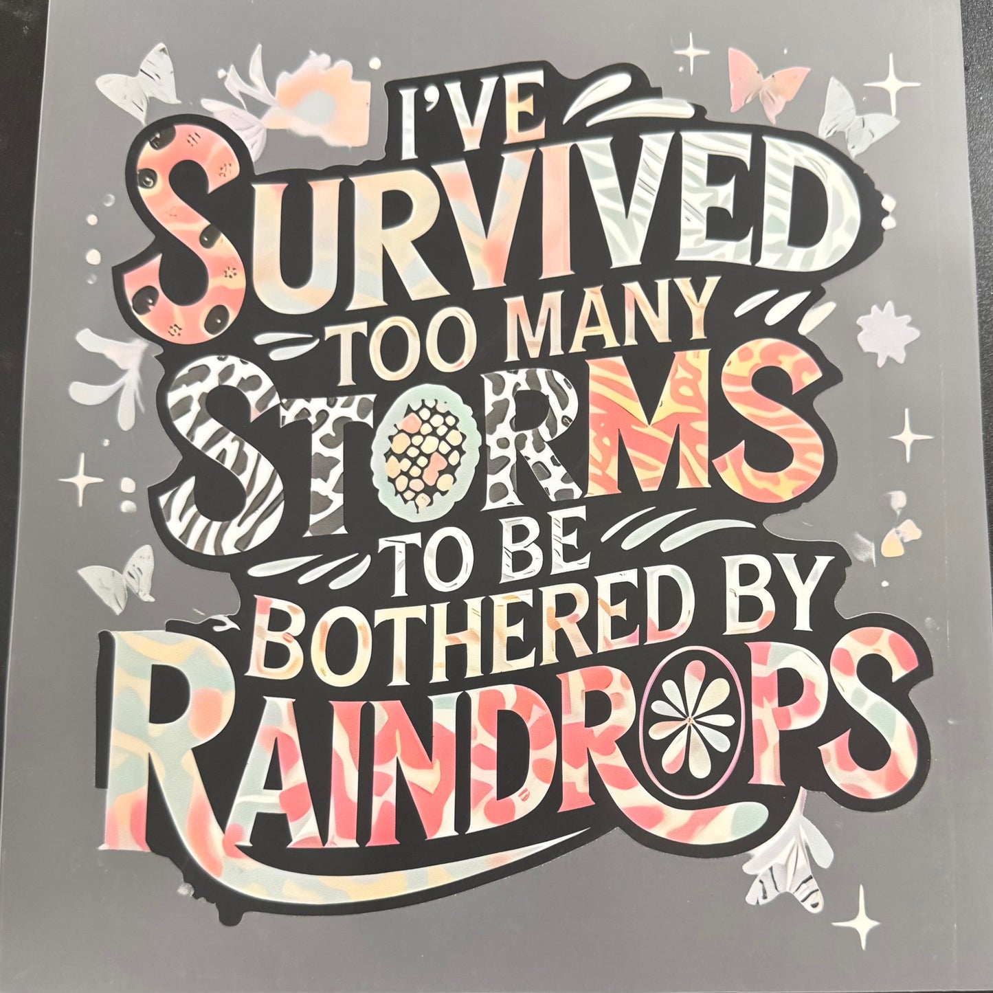 Survived Storms