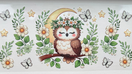 Owl