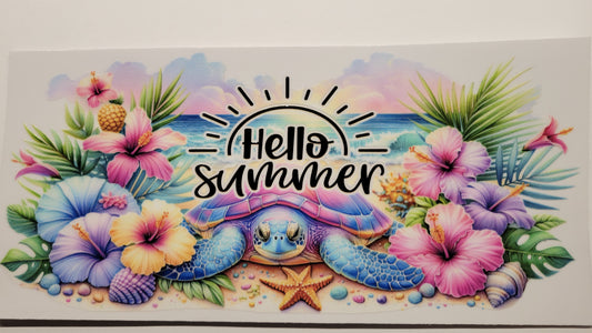 Turtle/Hello Summer
